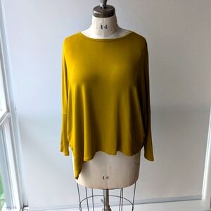Zara Assymetrical Stretch Top (M)